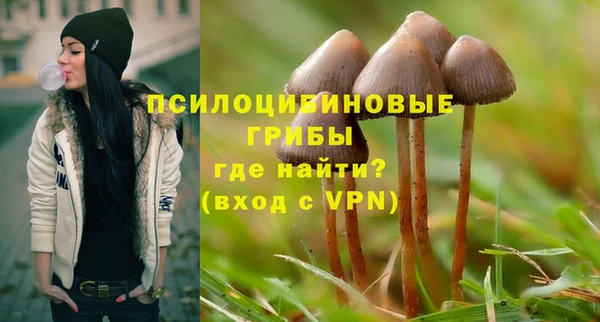 бутират Алексин