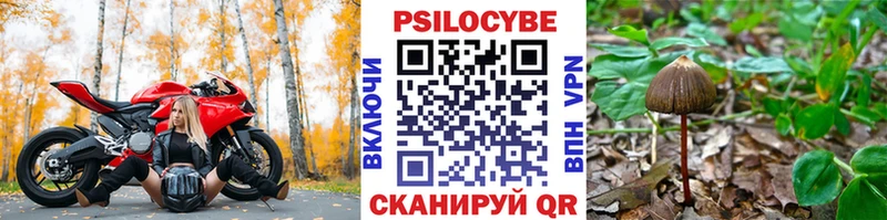 Купить закладки  Вологда  Галлюциногенные грибы мухоморы 